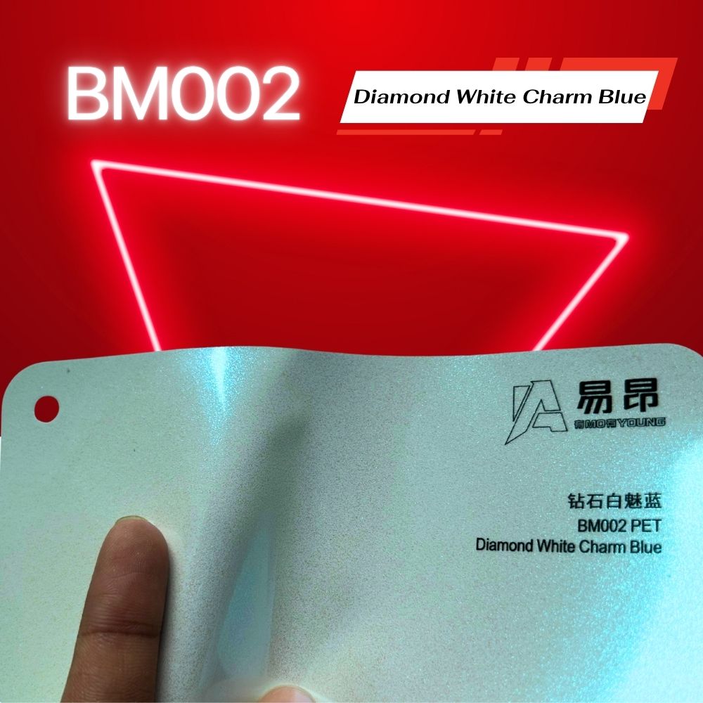 BM002