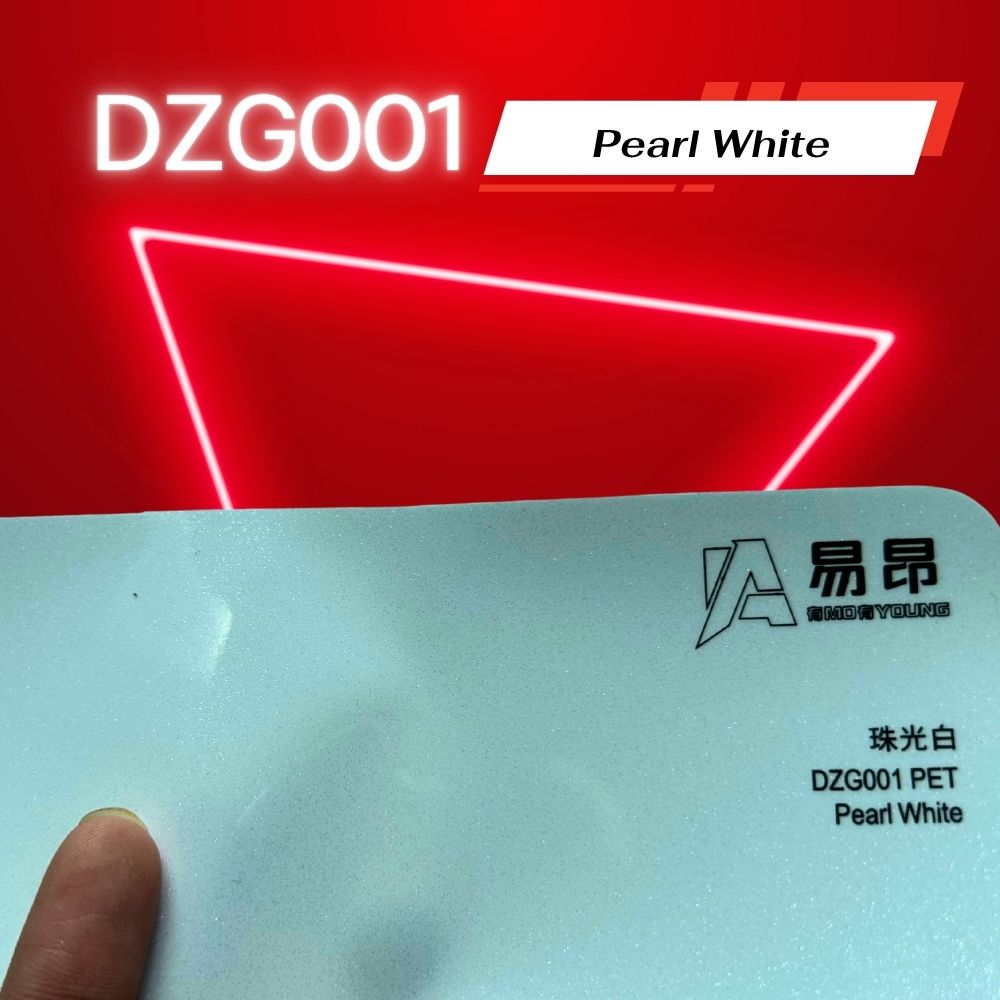 DZG001