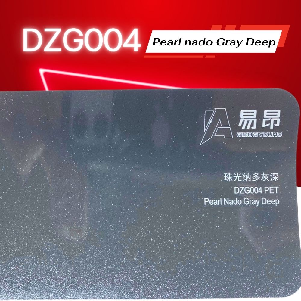 DZG004