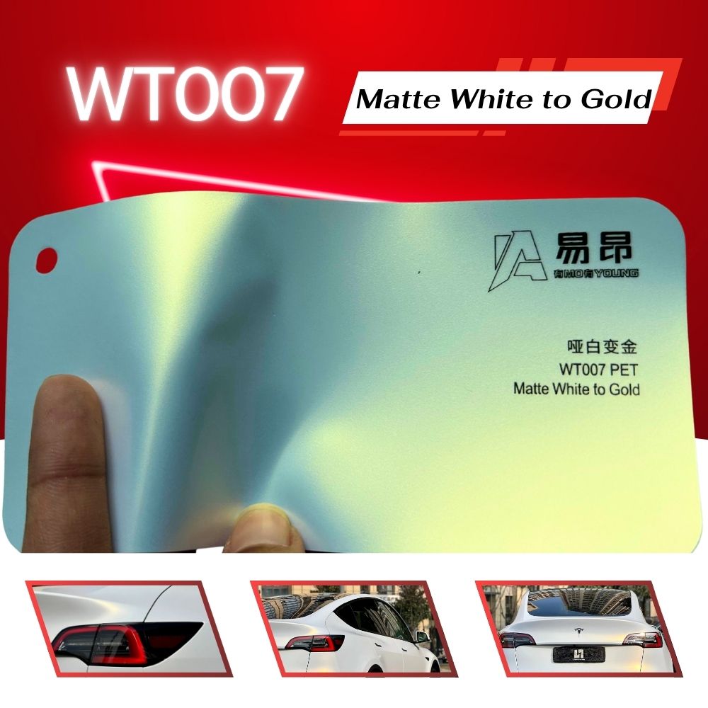 WT007-1