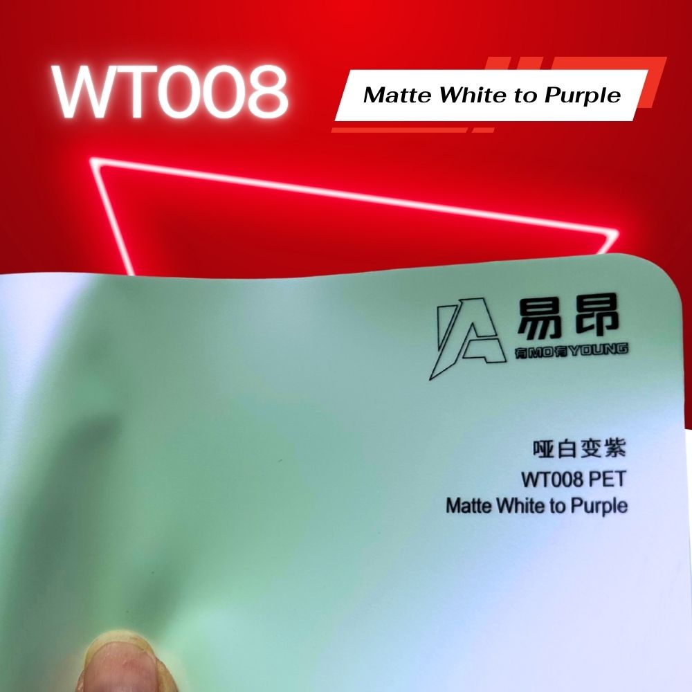 WT008
