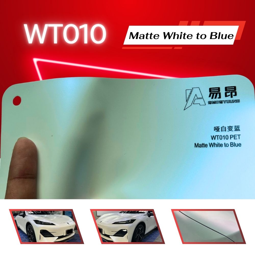 WT010-1
