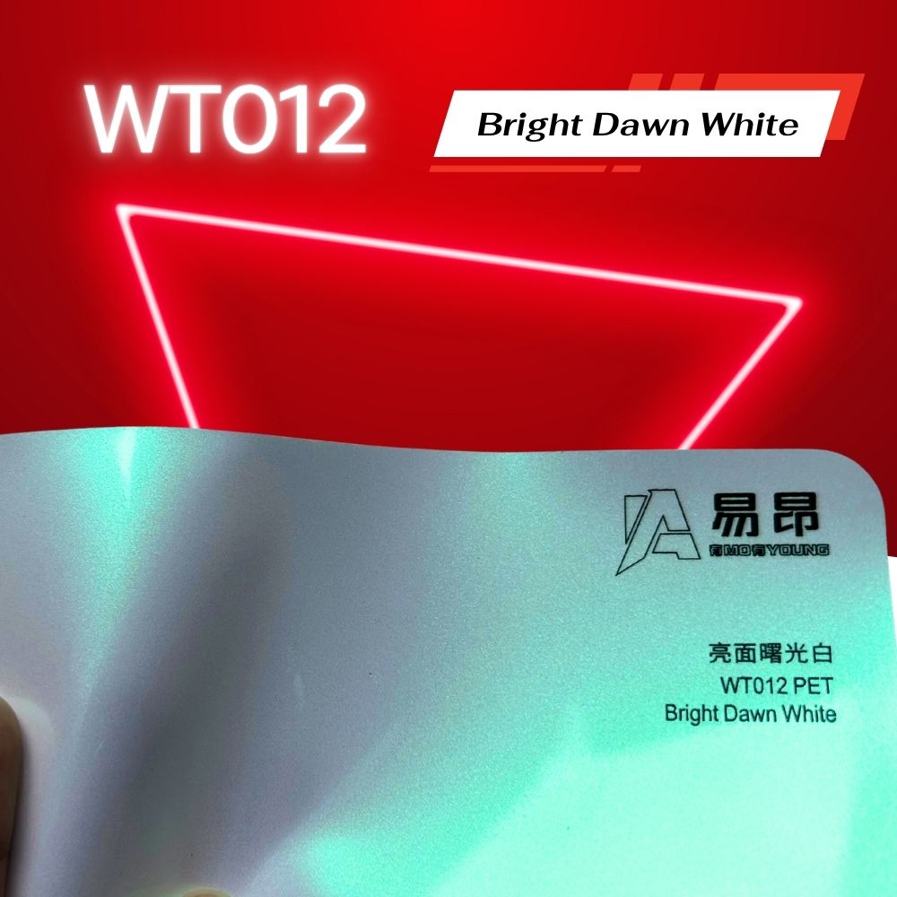 WT012
